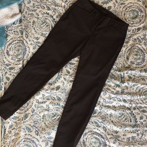The Limited Exact Stretch Brown pants